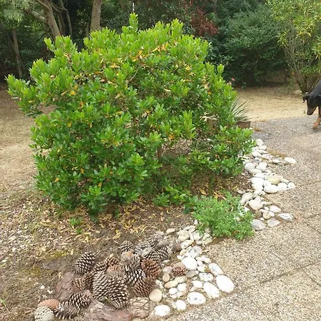 Ferienhaus Soulac-sur-mer Soulac-sur-Mer