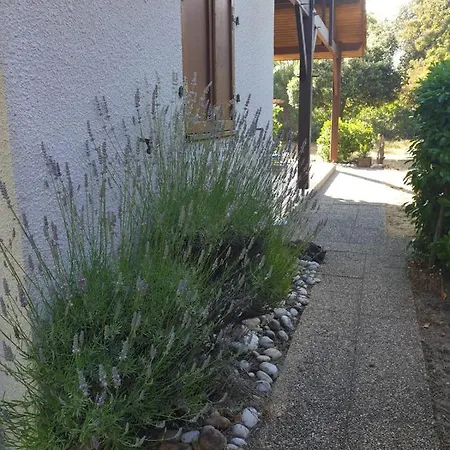 Hébergement de vacances Ferienhaus Soulac-sur-mer